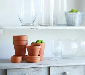 Vases & Containers